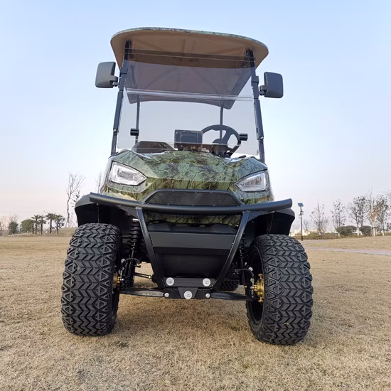 제조자 자유로운 주문 색깔 OEM ​​전기 스포츠 골프 버기 카트 도매 단 하나 호화스러운 Seater를 가진 배터리 4 바퀴 2 여객 전기 소형 차 소형 차